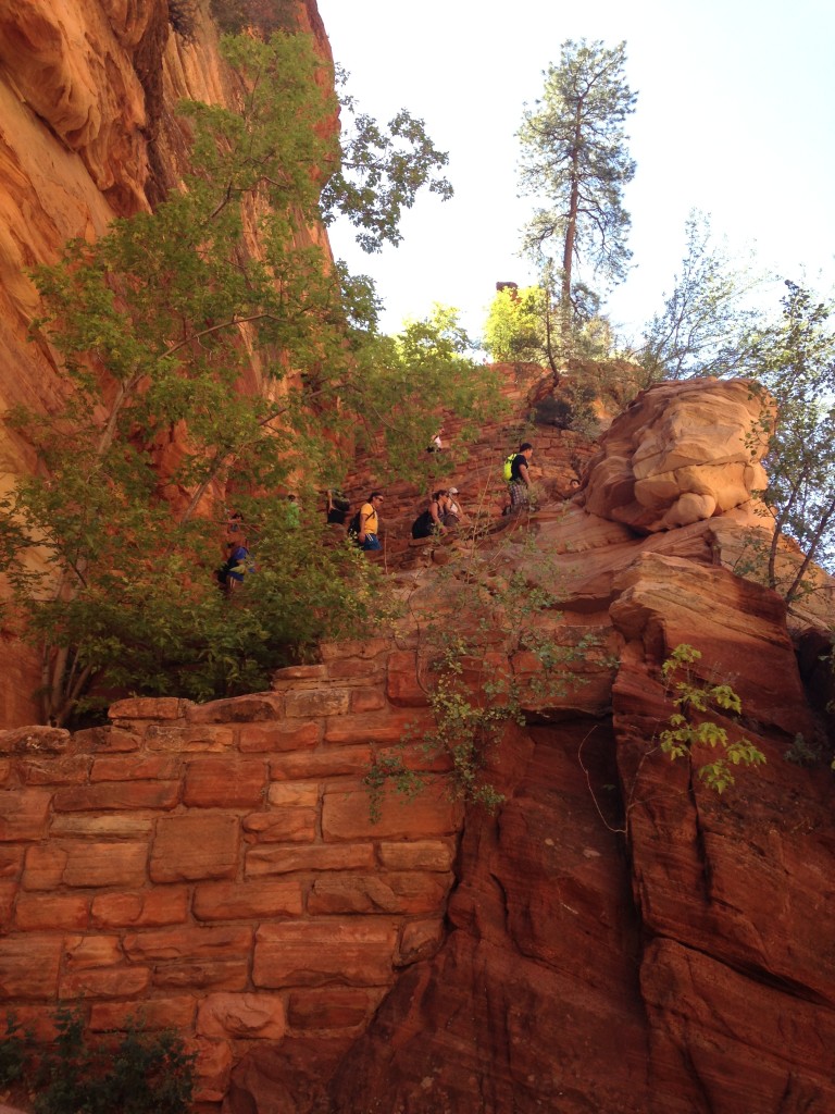 Walters Wiggles in Zion National Park, ArboursAbroad