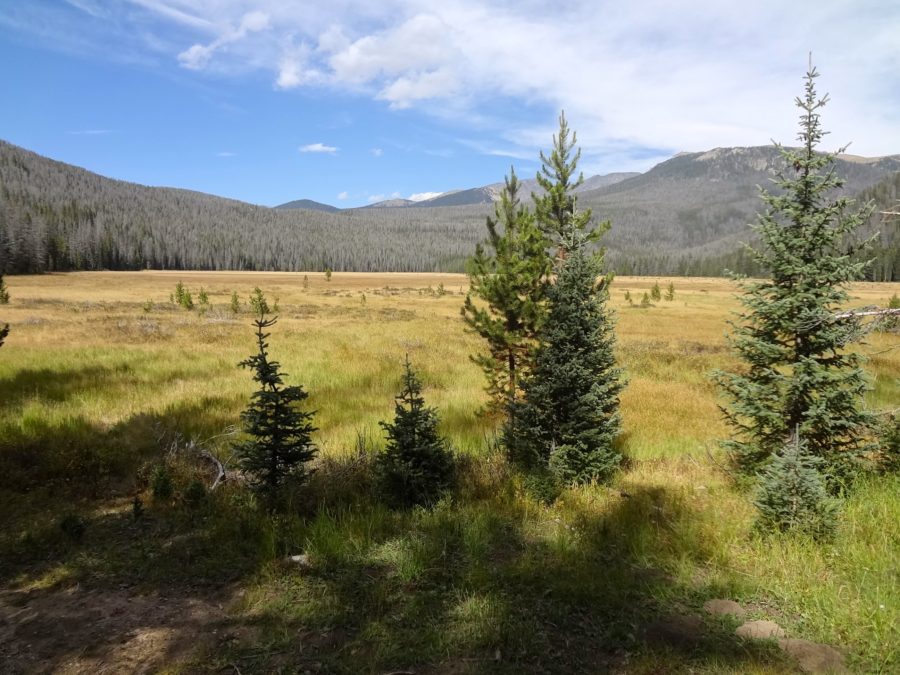 Green Mountain Meadow that we hiked to.