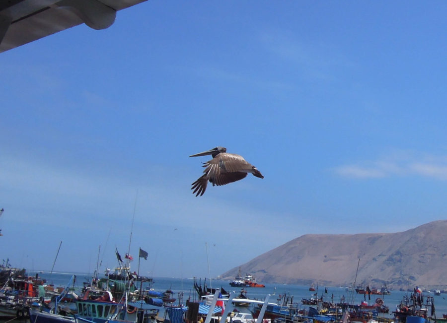 And again.. mid flight.