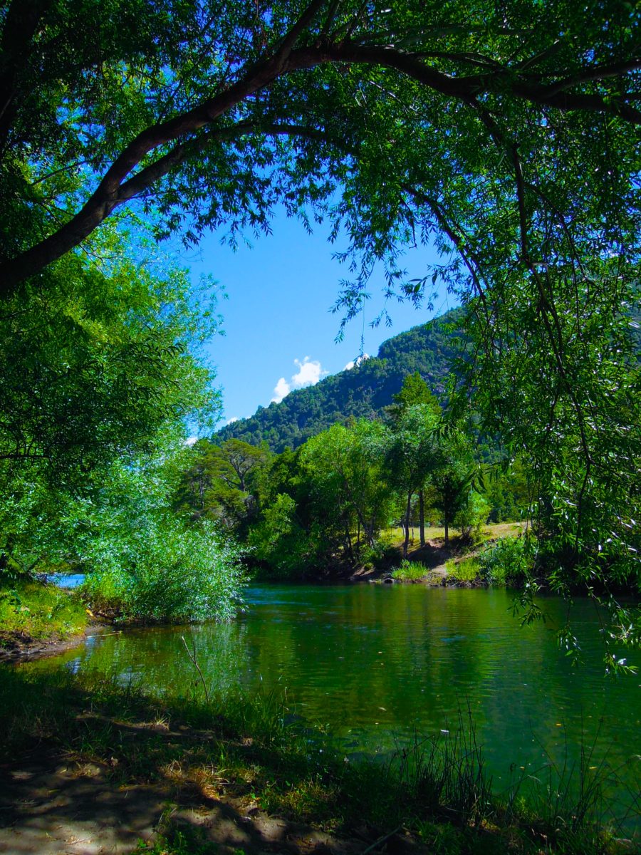 Looking upstream.