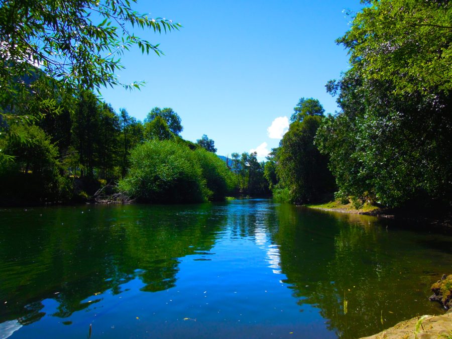 Relaxing by the river.