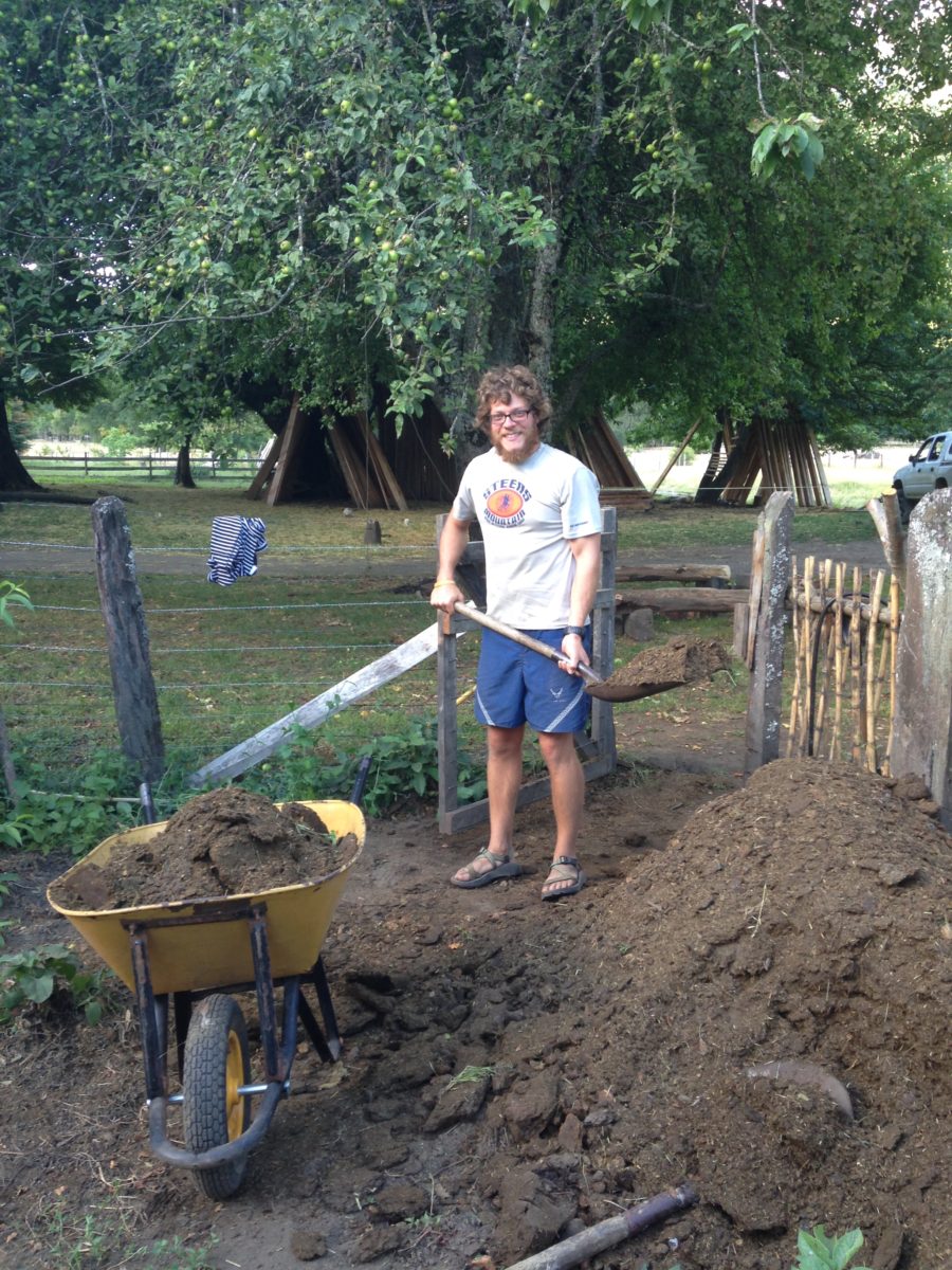 Shoveling manure!