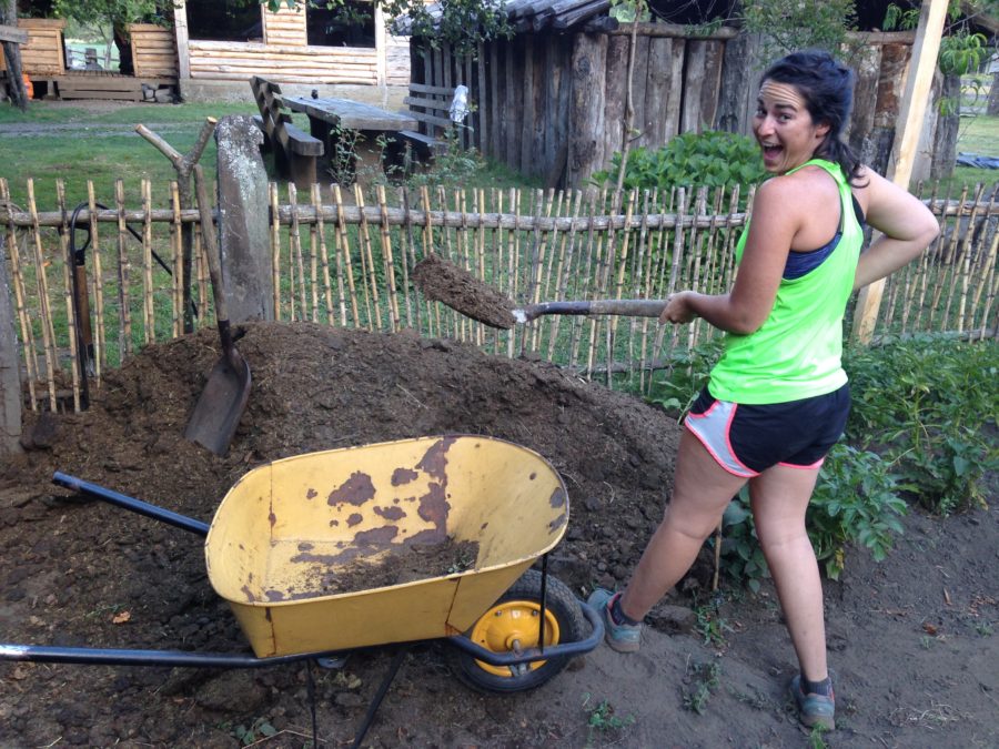 Shoveling manure!