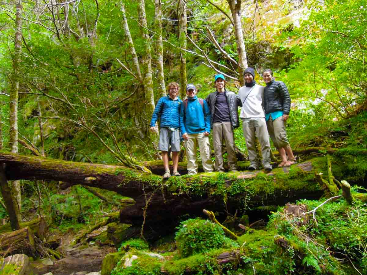group of hikers in the forest.