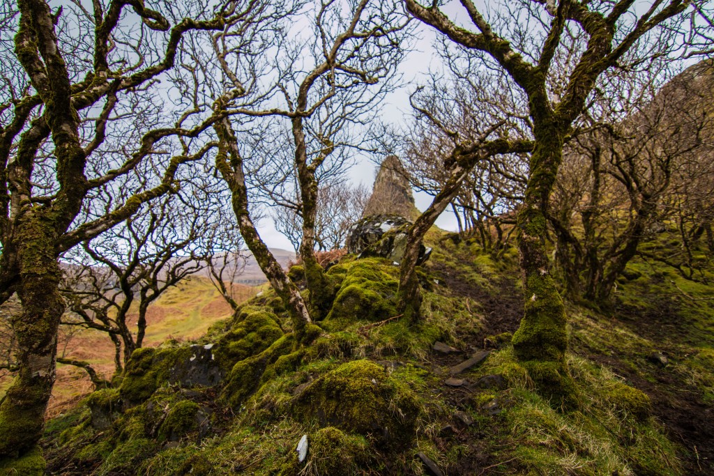Glen
