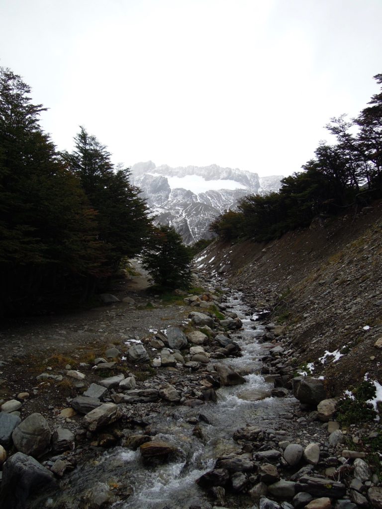 DSCN6242