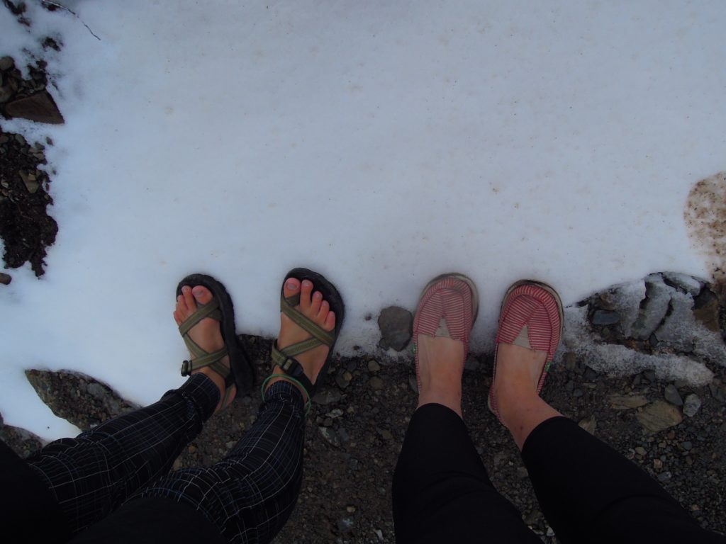 snow, Ushuaia, arboursabroad