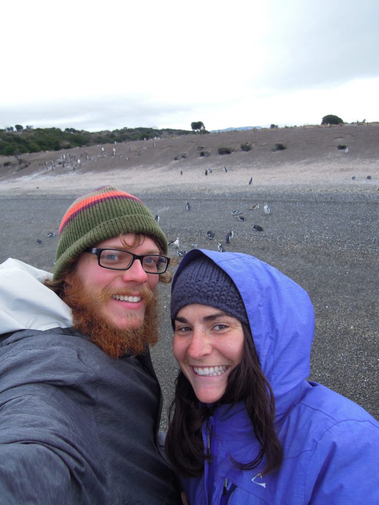 penguins, Ushuaia, arboursabroad