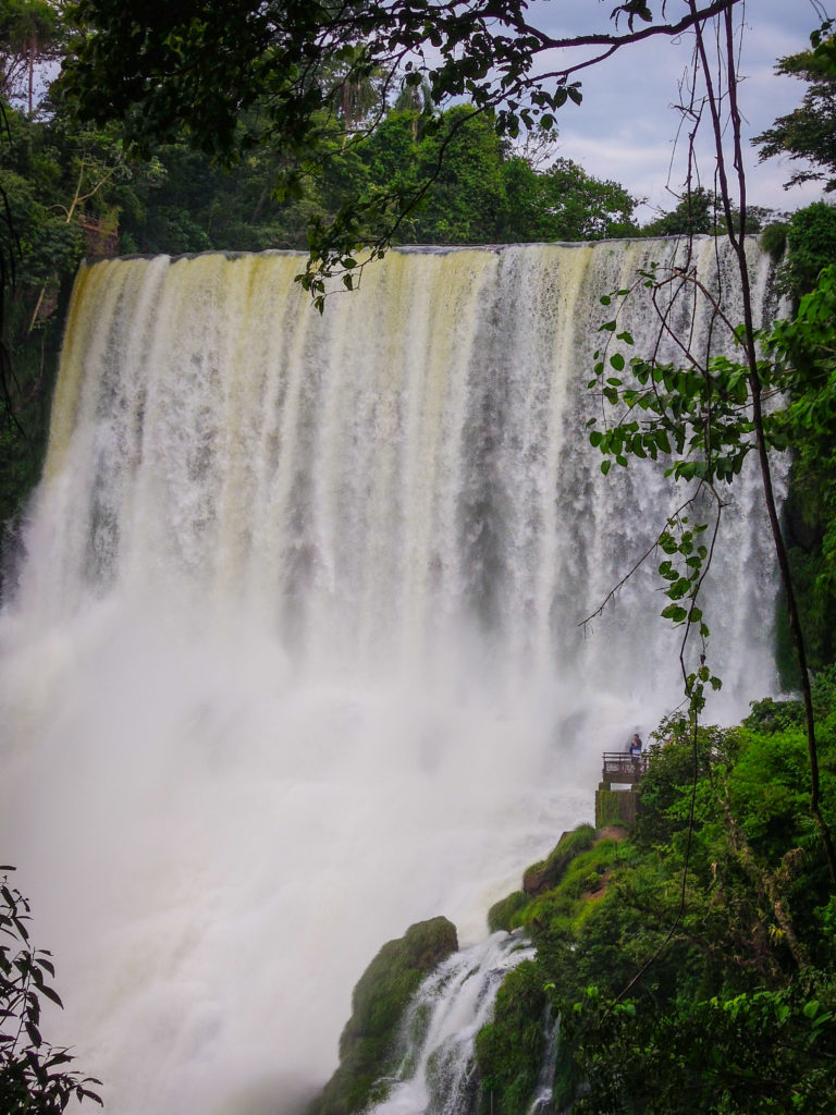 waterfall, Iguazu Falls, arboursabroad