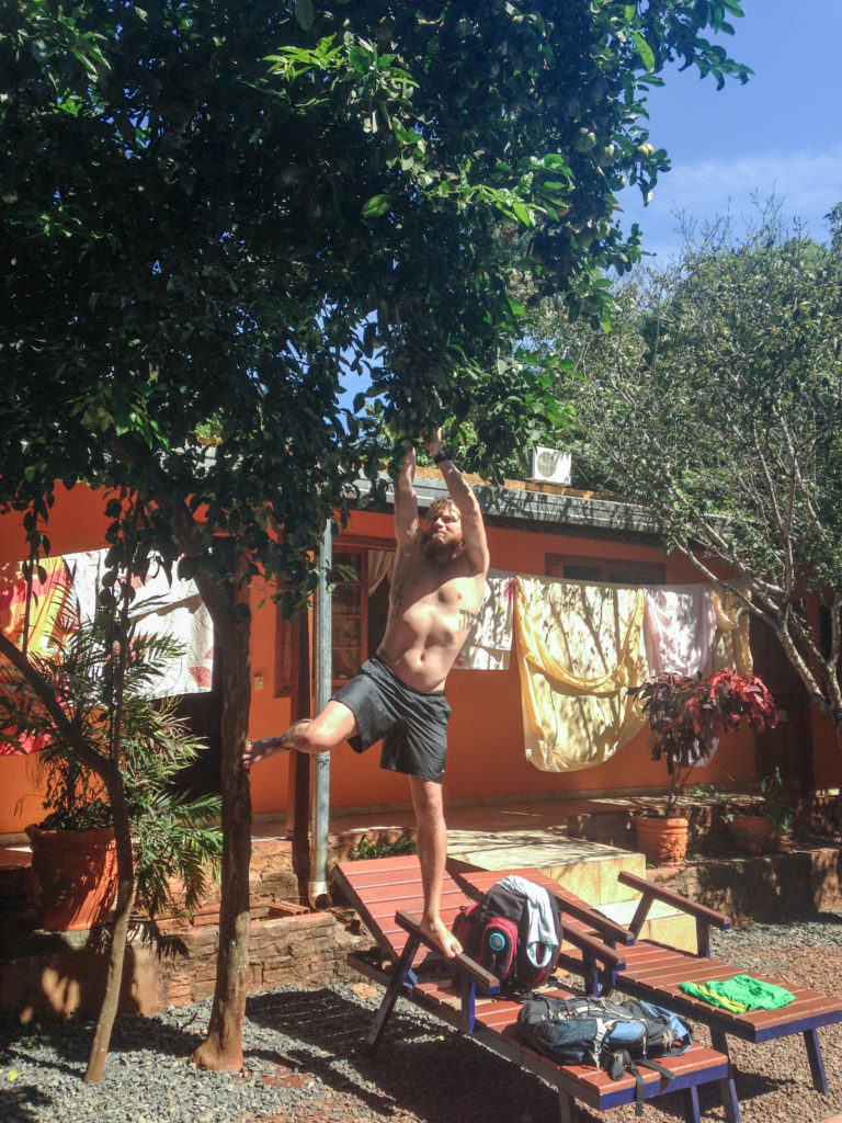 Fruit Trees, Puerto Iguazu, arboursabroad