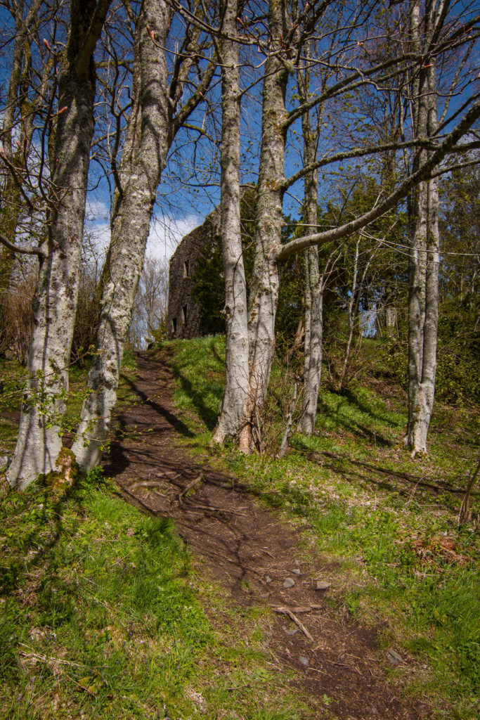 castle, Killin, arboursabroad