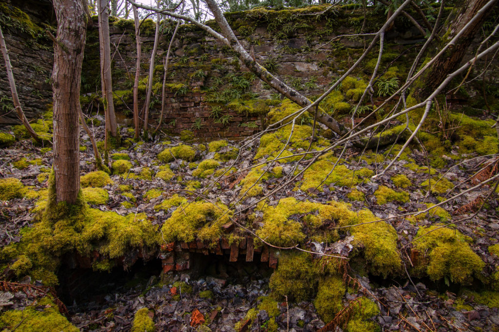castle, arboursabroad, Killin