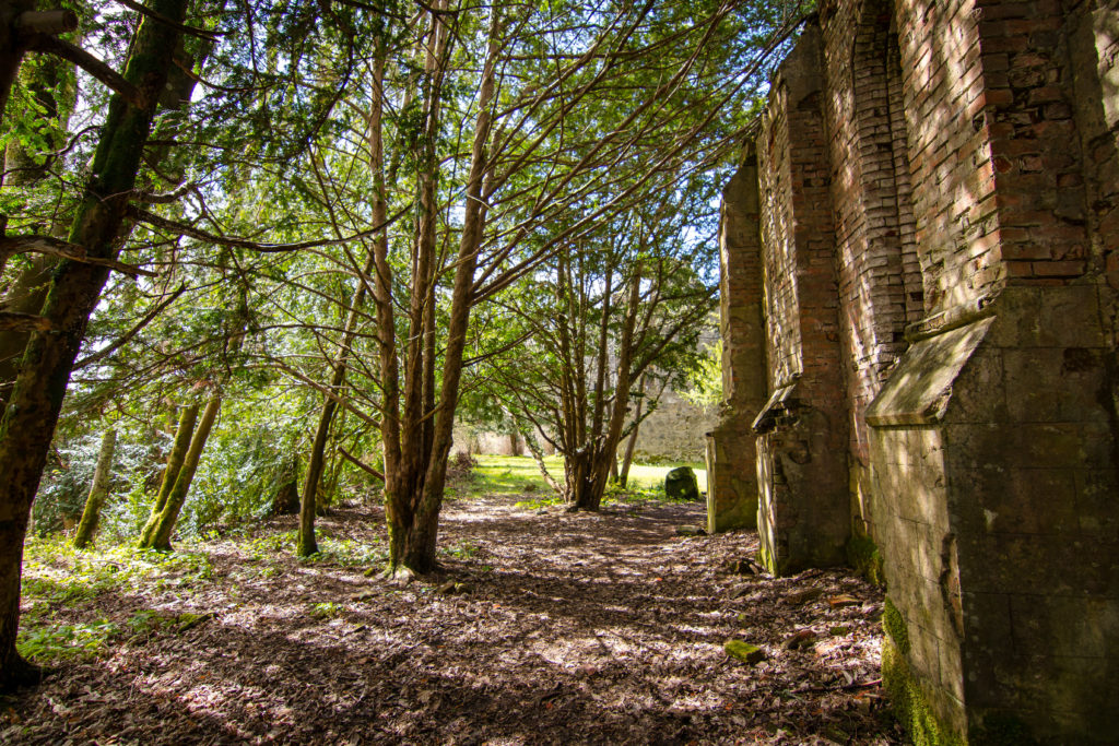 castle, trees, arboursabroad