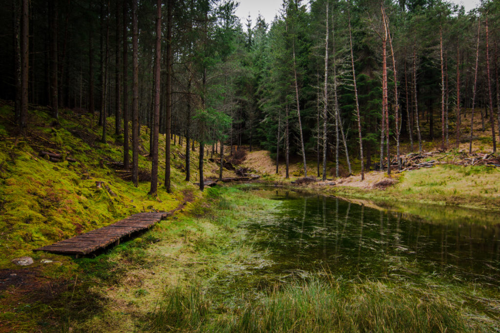 scenery, Glen Lyon, arboursabroad