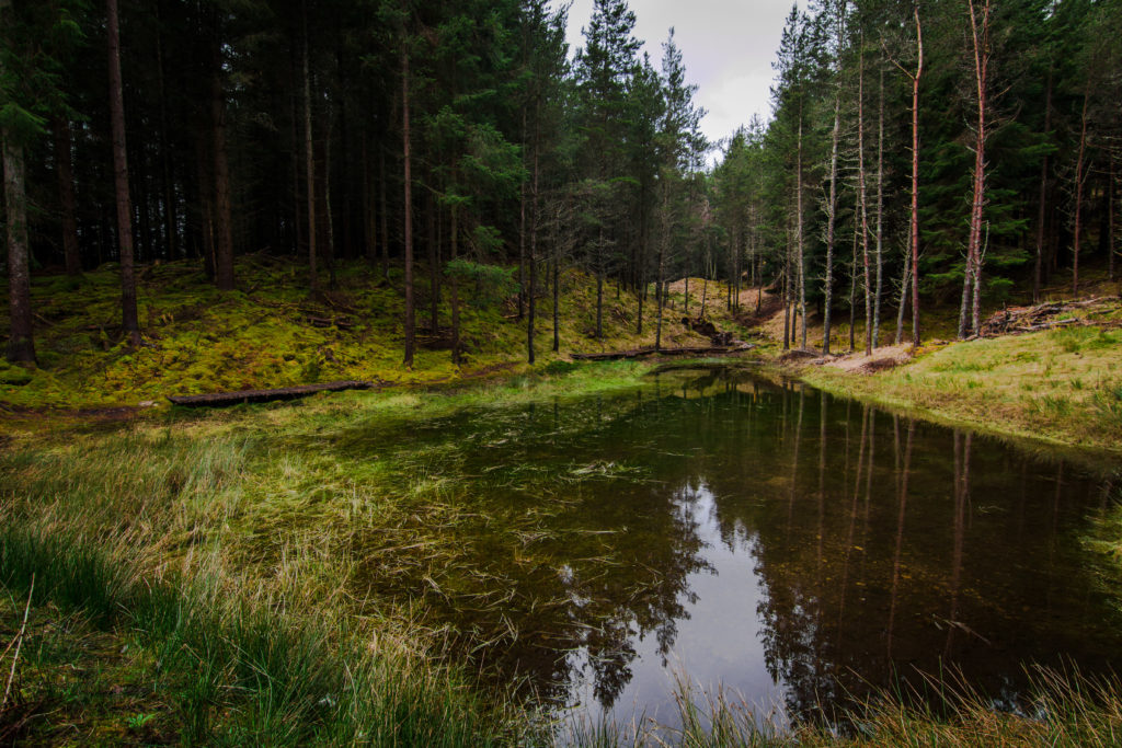 pond, Glen Lyon, arboursabroad