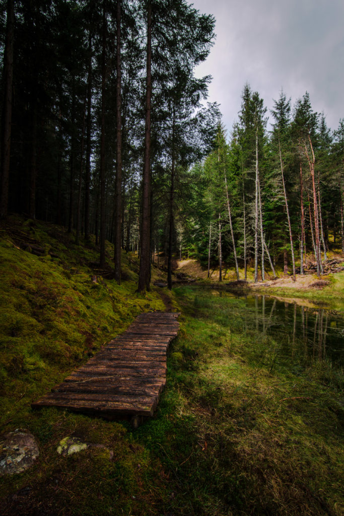 Glen Lyon, trails, arboursabroad