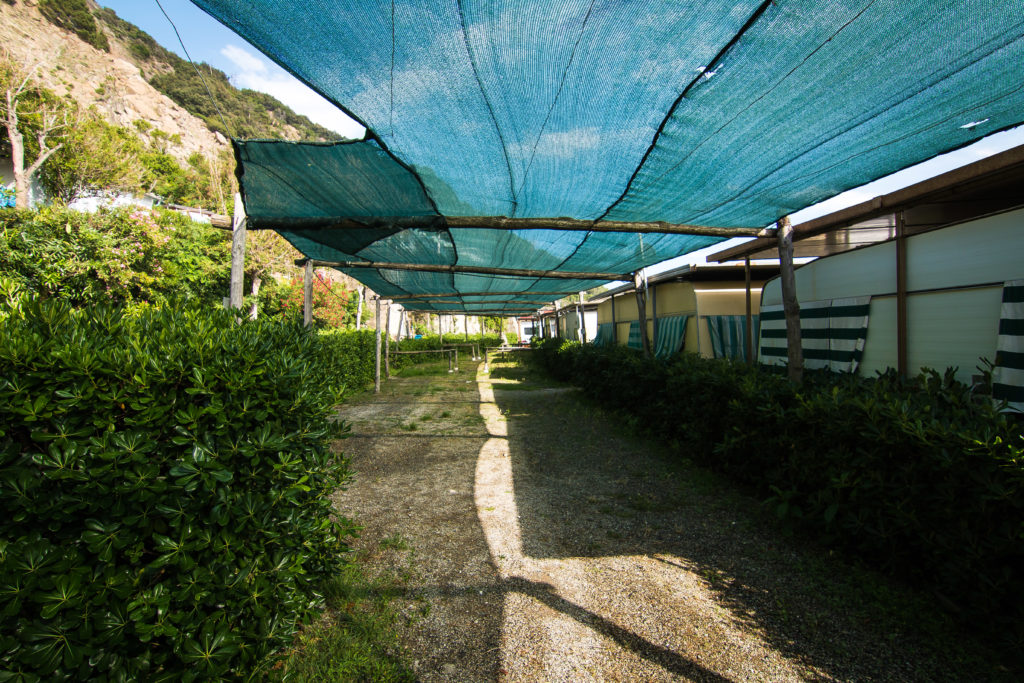 camping, Deiva Marina, Italy, arboursabroad