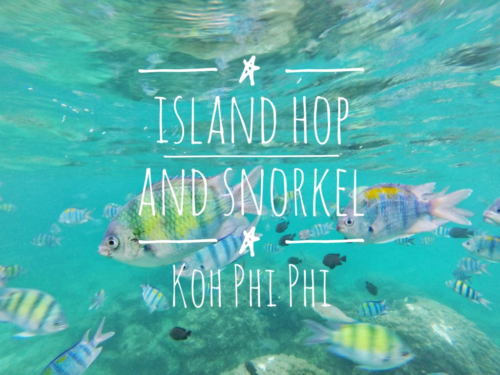 Thailand, Full Day Island Hopping and Snorkeling Tour : Koh Phi Phi