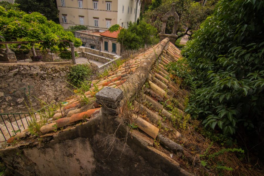 tiled roof with trees overgrowing on sides and throughout tiles
