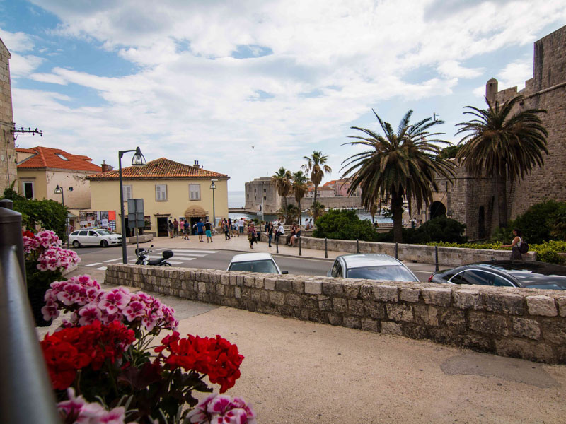 road with palm trees and brick buildings with flowers hanging from railing in foreground