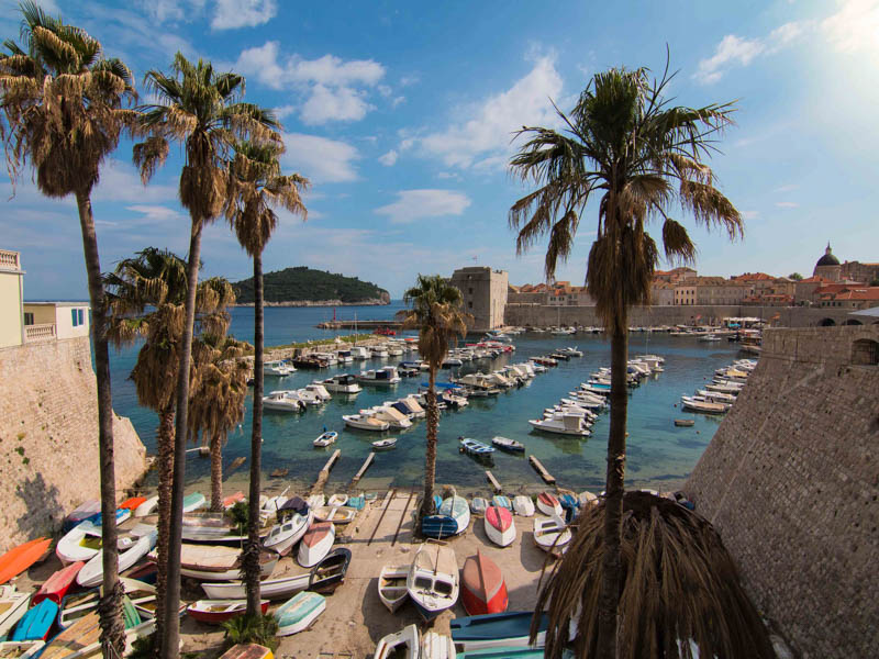 1 day in Dubrovnik views from harbor with palm trees growing, boats on shore and in the sea, and historic walled city around