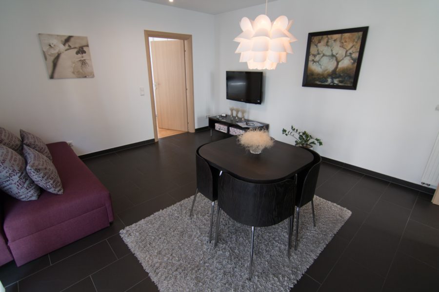 modern apartment with tv, purple couch and kitchen table that chairs tuck into