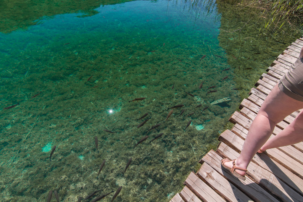 footpath, wooden walkway, lake, Plitvice Lakes Guide, Croatia, arboursabroad