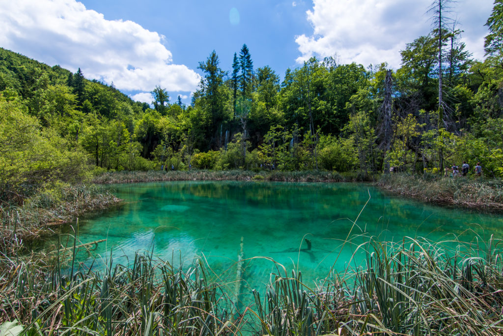 Plitvice Lakes guide, Croatia, arboursabroad, lake, nature