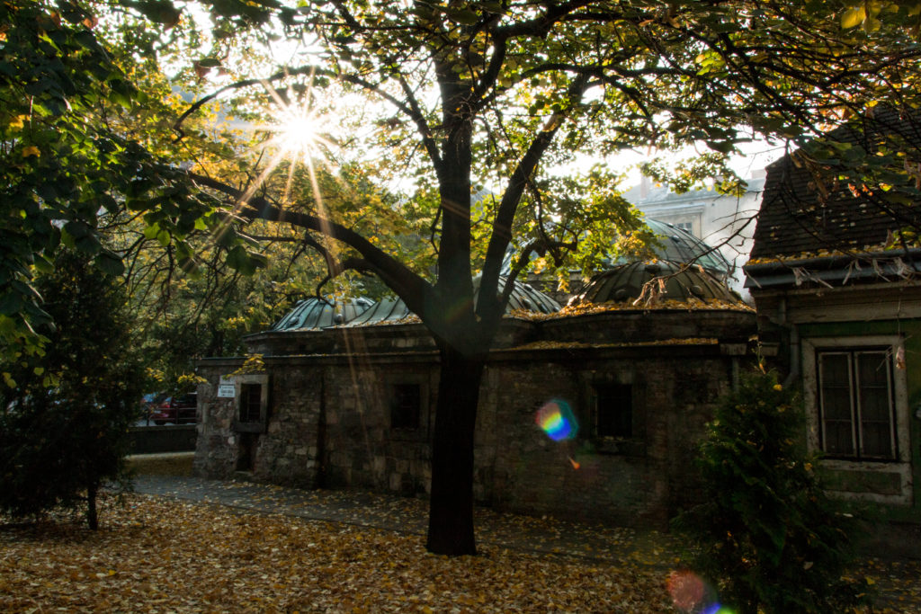 Kiraly Baths, Budapest, Thermal Baths, Oldest Bathhouse, arboursabroad