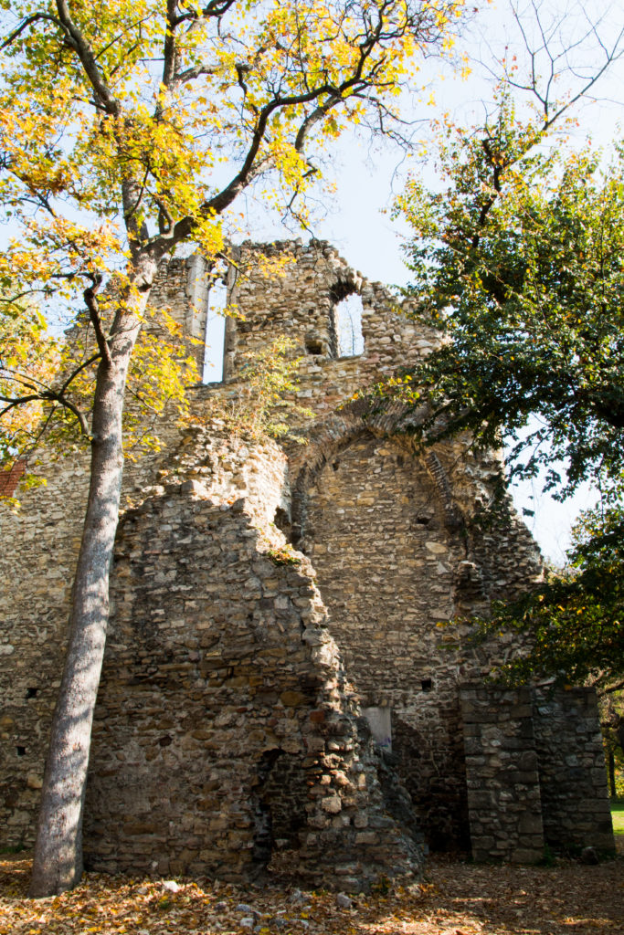 ruins with autumn leaves, Margaret Island, Margitsziget, Budapest, Hungary, arboursabroad