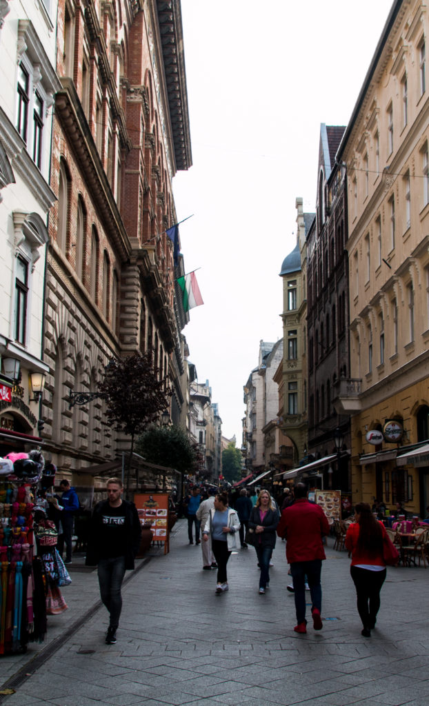 people walking down a walking street, Vaci Utca, Budapest, Hungary, arboursabroad