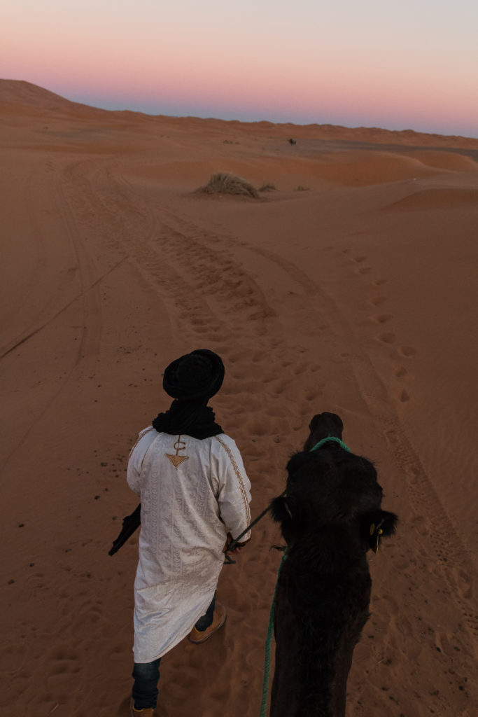 berber guide with camel, camel at sunset, Morocco, arboursabroad