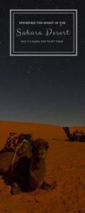 camel trek, camels in the desert, Sahara Desert, Merzouga, arboursabroad