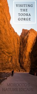 Todra Gorge, Todgha Gorge, Morocco, gorge, arboursabroad