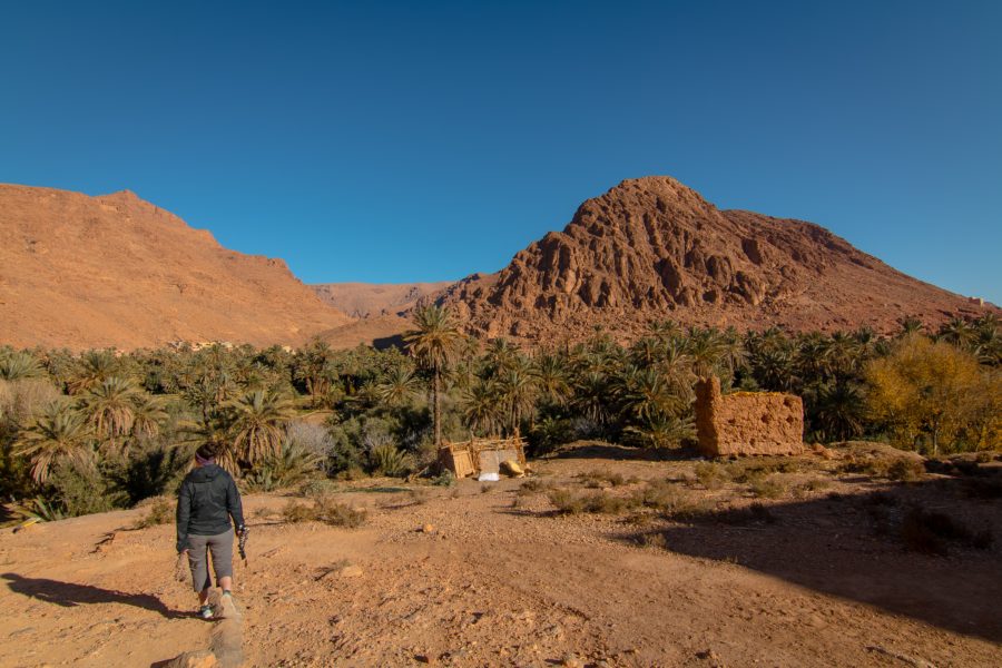 Todra Gorge farming valley, palm trees and canyon, arboursarbroad, Morocco