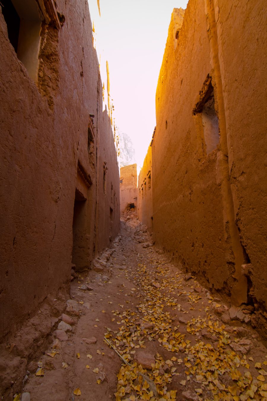 Todra Gorge Kasbah, Morocco, arboursabroad