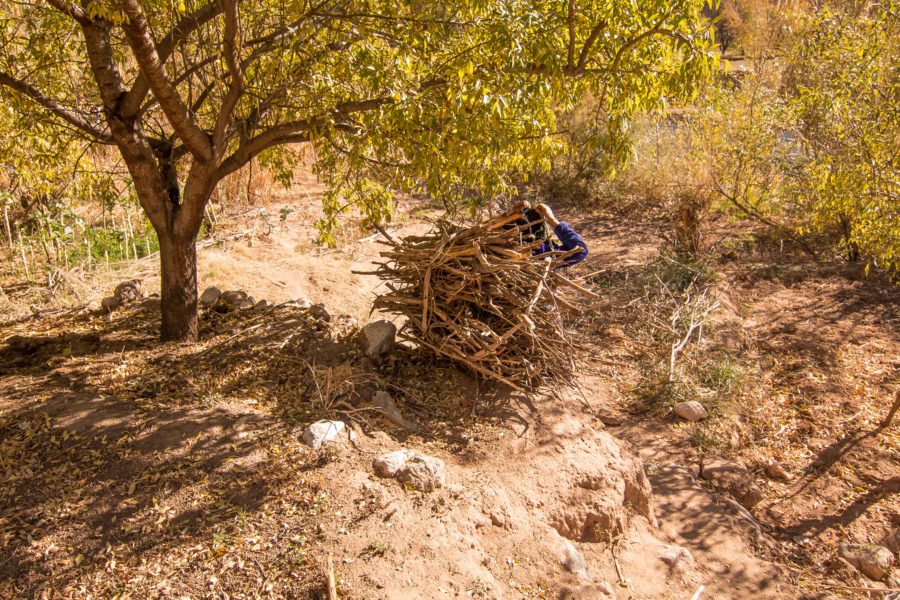 Moroccan woman carrying sticks on back, labor in Morocco, arboursabroad