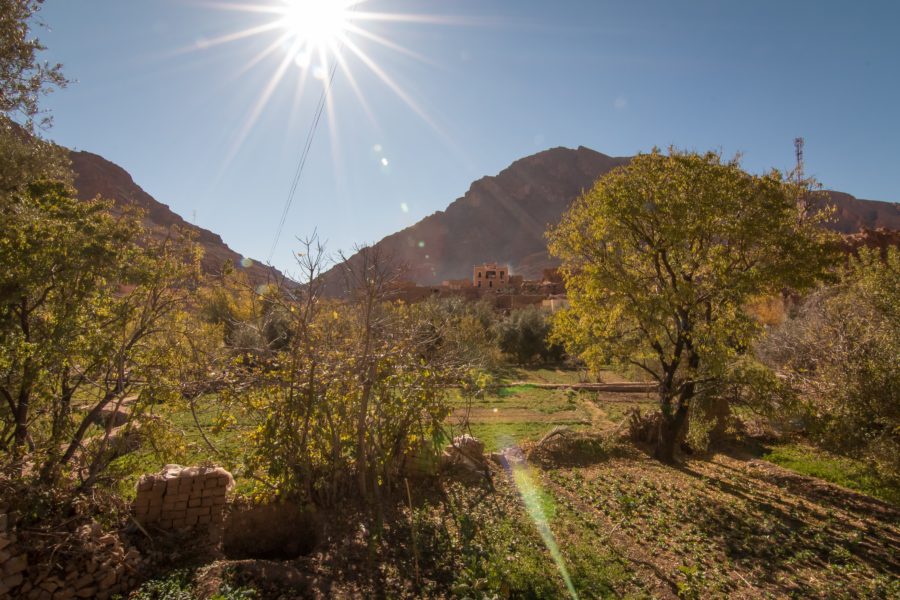farm land in the Todra Gorge, Morocco, sun star, arboursabroad