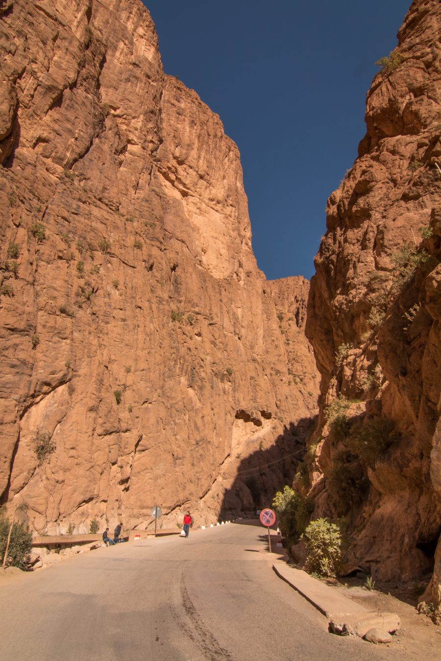 Todra Gorge, canyon in Morocco, arboursabroad