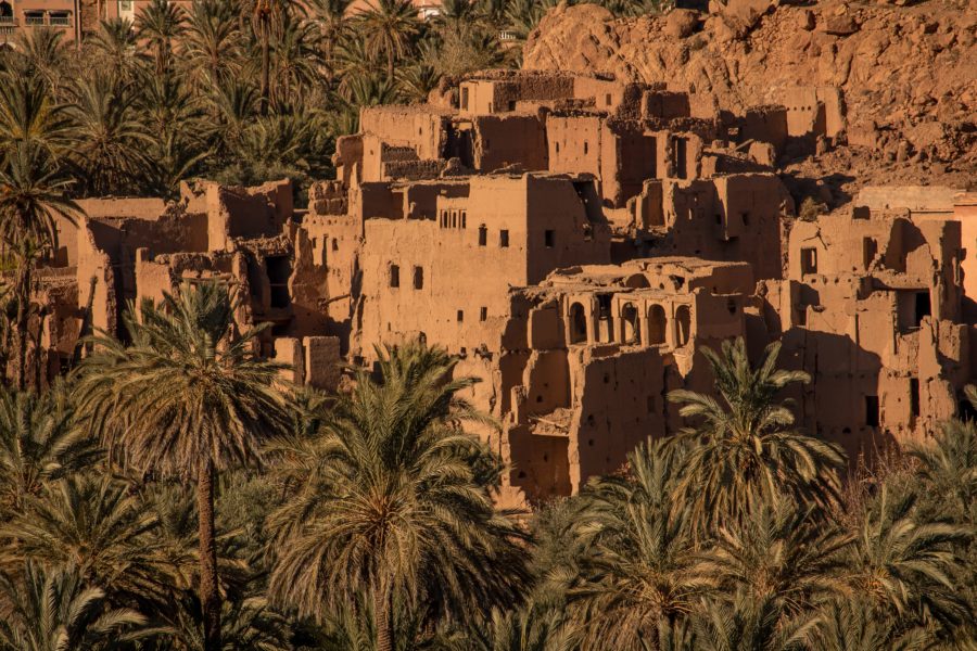Kasbahs with palm trees, ruins, Morocco, Todra Gorge, arboursabroad