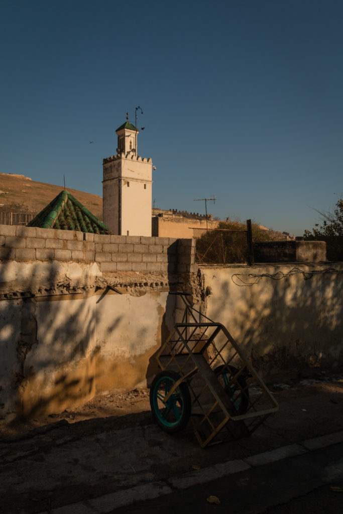 Donkey cart and mosque, Fez, Morocco work, Arboursabroad