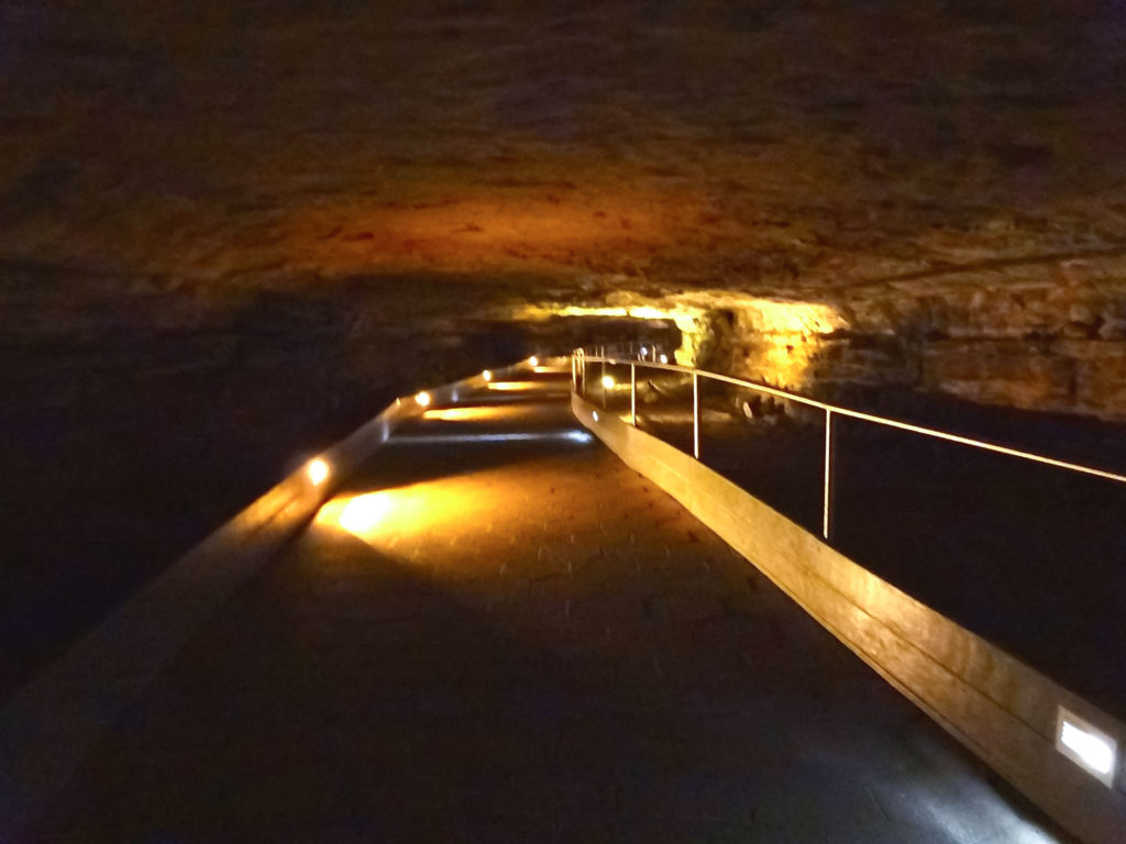 National Parks in United States, Kentucky, Mammoth Cave, ArboursAbroad