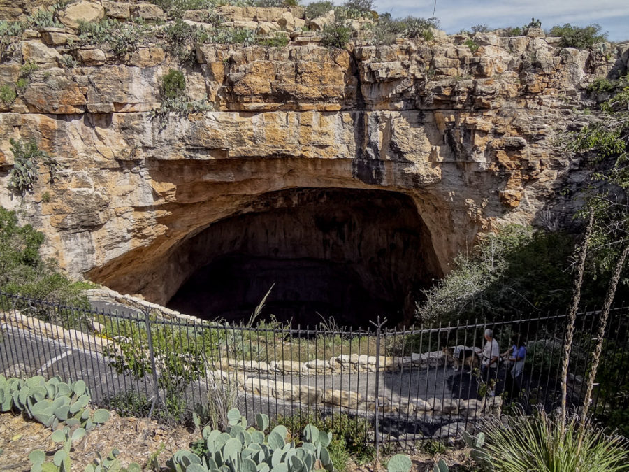 Carlsbad Caverns National Park, New Mexico, USA, cave, entrance, arboursabroad