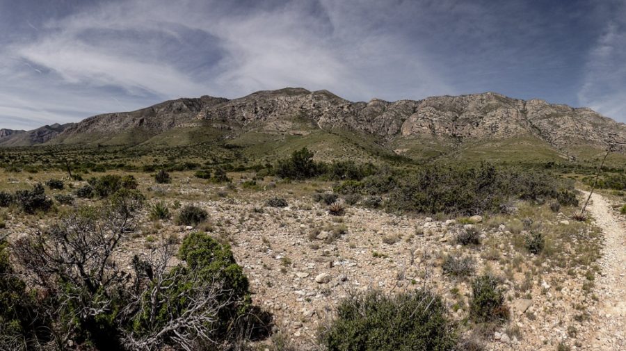 Guadalupe Mountains National Park, Texas, USA, ArboursAbroad,