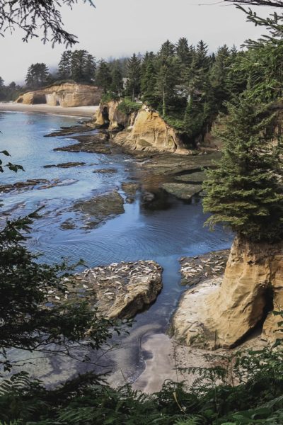 Oregon Coast Bike tour information and views