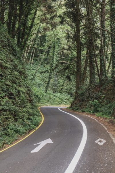 cycling the Oregon Coast Bike Route, the diamonds are for the cycle lane