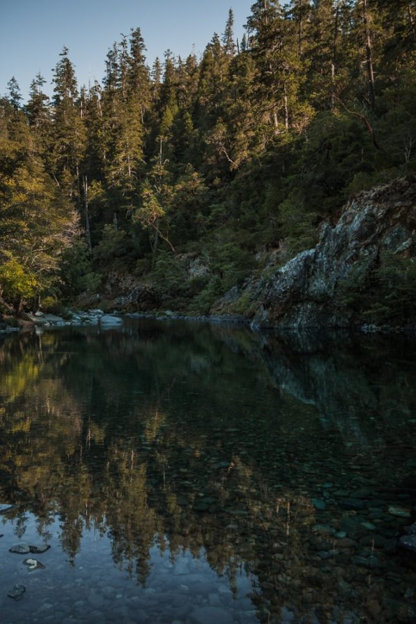 Sandy Beach on the Smith River with tree reflection