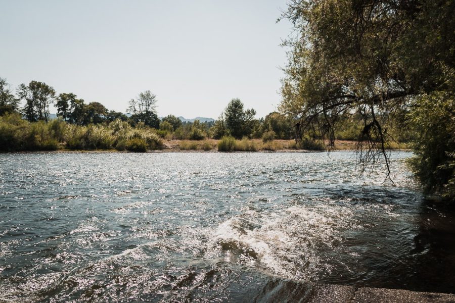 Whitehorse park rapids after the boat launch. Rogue River.
