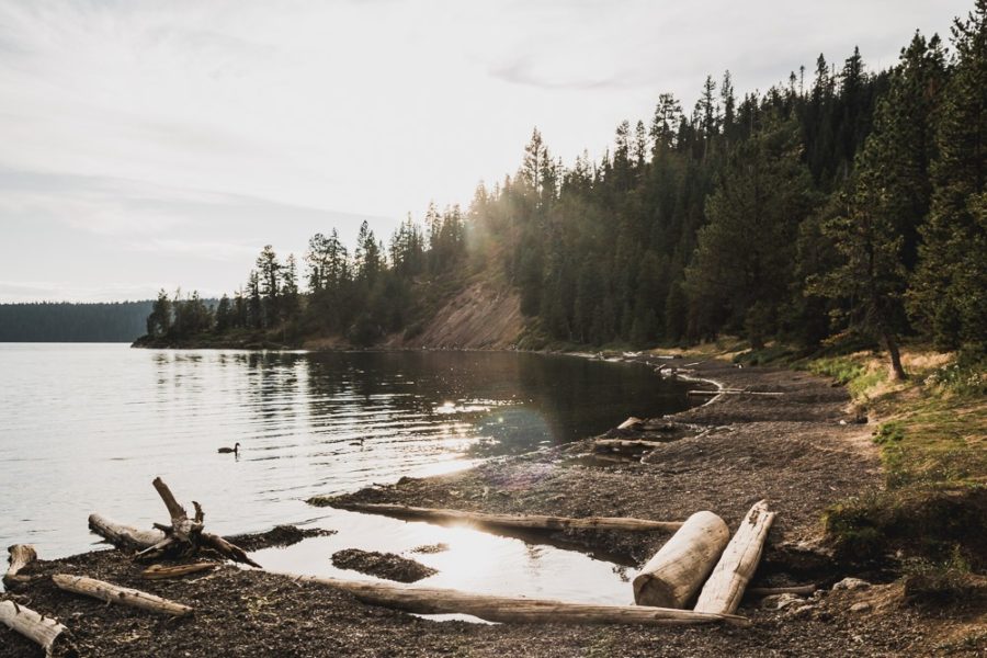 Natural hot springs on the lake in Bend, Oregon.