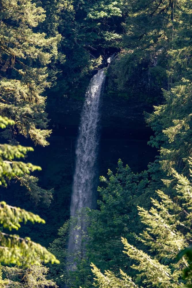 View of waterfall through dense forest trees.